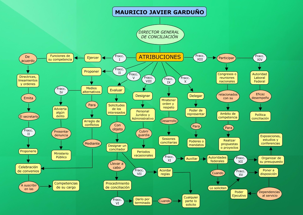MAURICIO JAVIER GARDU O